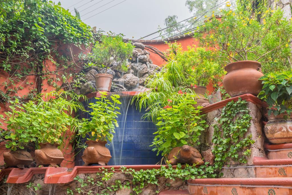 Casa Puesta Del Sol Ξενοδοχείο Σαν Μιγκέλ ντε Αγιέντε Εξωτερικό φωτογραφία