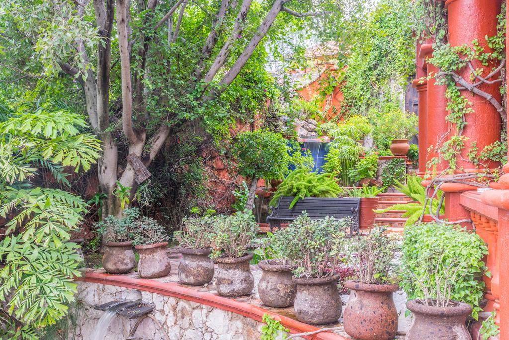 Casa Puesta Del Sol Ξενοδοχείο Σαν Μιγκέλ ντε Αγιέντε Εξωτερικό φωτογραφία